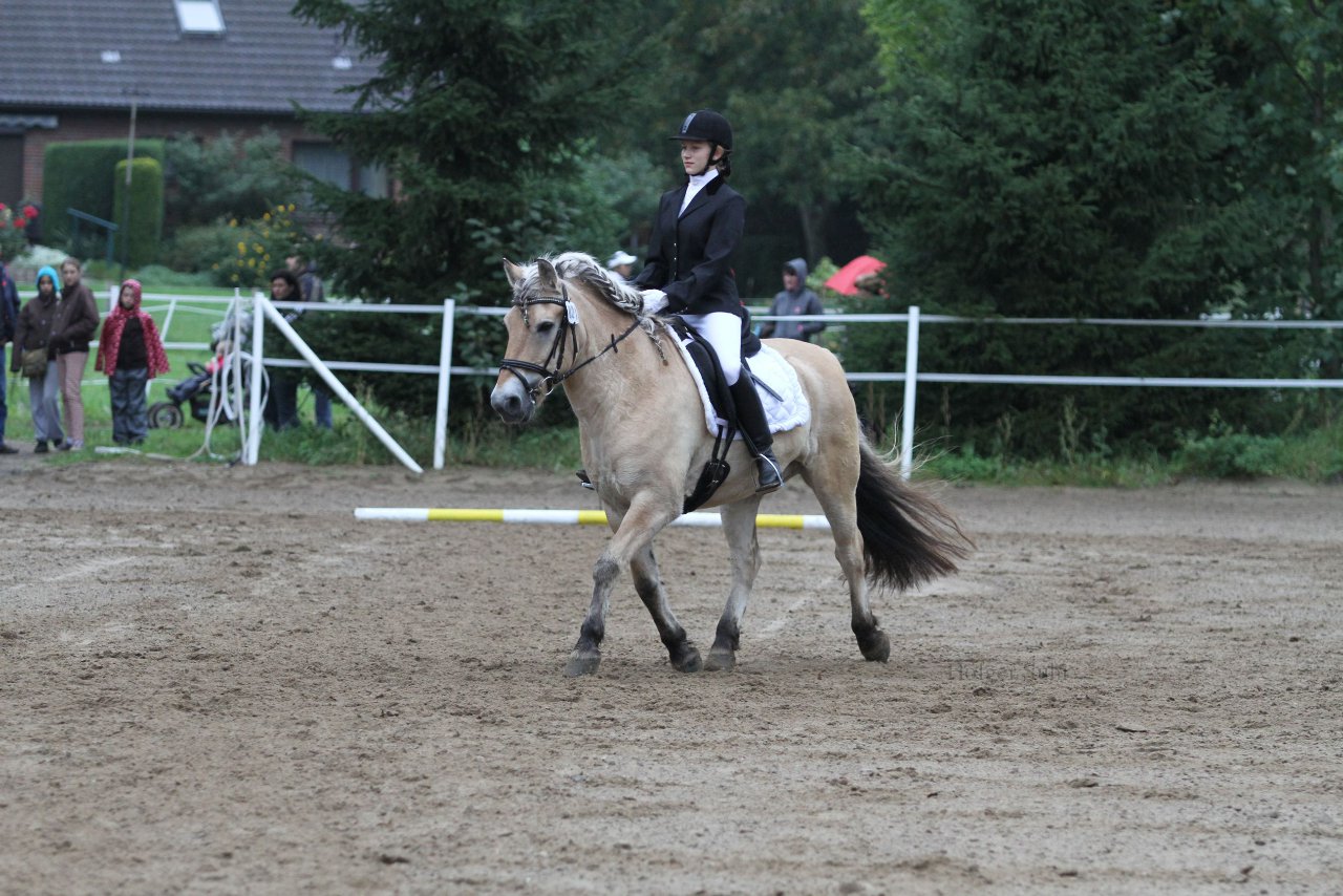 Bild 435 - WBO-Turnier am 18.9.11